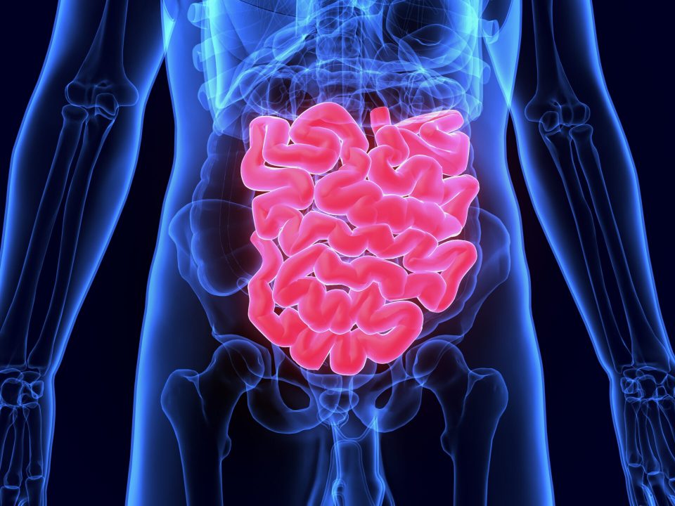 the best probiotics probion clinica probion daily probion active probion daily natural probiotics ibs digestion